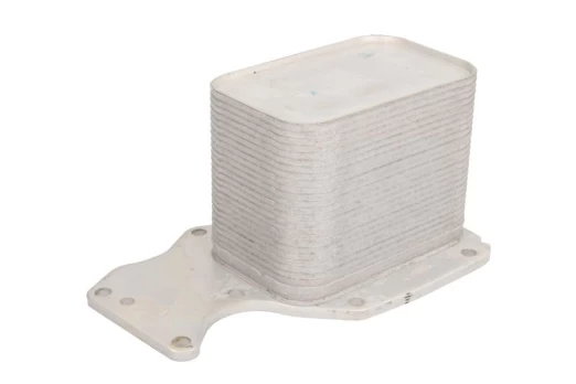 Alyvos radiatorius THERMOTEC D4B013TT