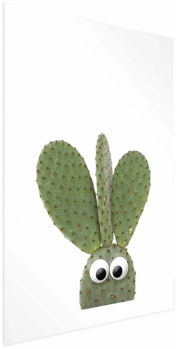 Artgeist Plakatas - Eared Cactus