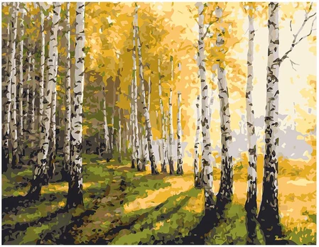 Omaart Birch forest