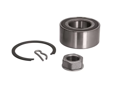 SNR R159.56 Wheel bearing kit