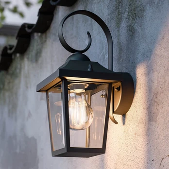Sieninis apšvietimas Philips Buzzard Žibintas Juoda 60 W