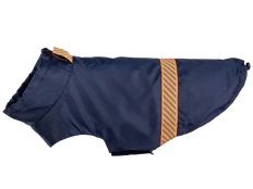 Striukė šunims Amiplay Glow, mėlyna, 65 cm kaina