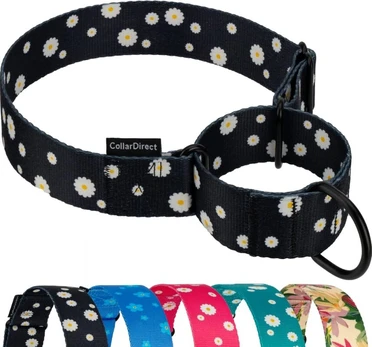 CollarDirect Martingale šunų antkaklis 30-43 cm