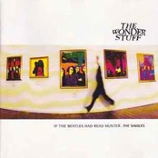 CD The Wonder Stuff - If The Beatles Had Read Hunter... The Singles