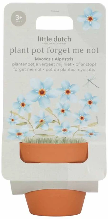 Little Dutch Plant Pot ´Forget Me Not´
