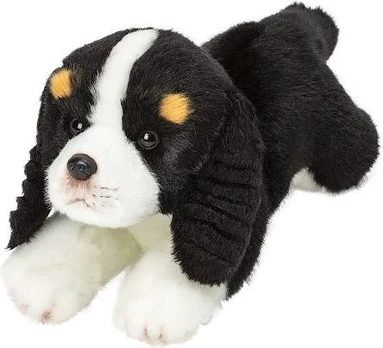 Suki Gulsčias King Charles spanielis 30 cm