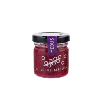 Medus su juodaisiais serbentais 40g