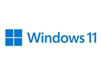 MS ESD Win Pro N 11 64-bit