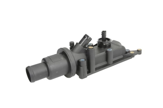 termostatas, aušinimo skystis THERMOTEC D2R018TT