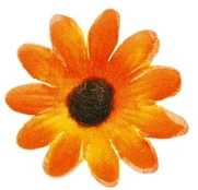 Santex Oranžinės dekoratyvinės ramunės, 5 cm