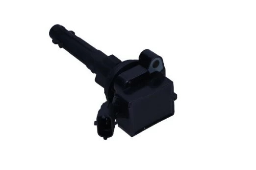 Ritė, uždegimas MAXGEAR 13-0211
