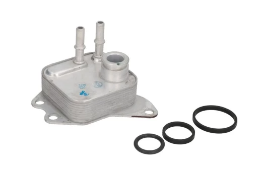 Alyvos radiatorius THERMOTEC D4I007TT