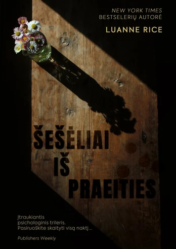 Šešėliai iš praeities (knyga su defektais)