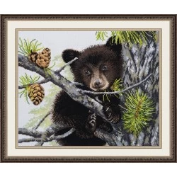 Bear S970