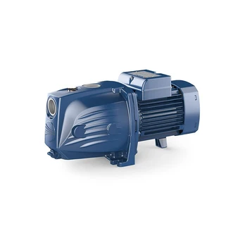 Sausai statomas horizontalus siurblys Pedrollo JSWm1BX-N 230V