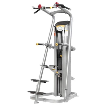 Chin-Dip Assist Prove Smart (100kg)