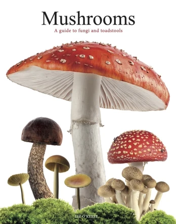 Mushrooms