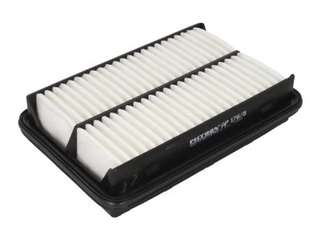 Oro filtras FILTRON AP176/8