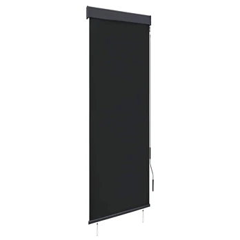 Lauko roletas, antracito spalvos, 60x250cm