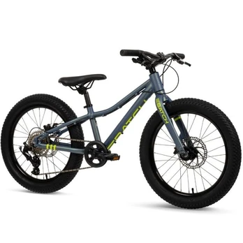 Rower MTB Batch Alu 20” chameleo (B374455W)