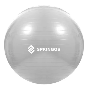 Gimnastikos kamuolys Springos, sidabro, 75 cm