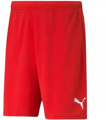 Puma teamRISE šortai M 704942 01