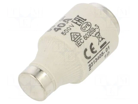 Fuse: fuse | gG | 40A | 500VAC | 500VDC | ceramic | DIII | D