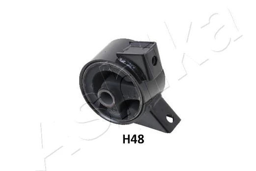 Variklio montavimas ASHIKA GOM-H48