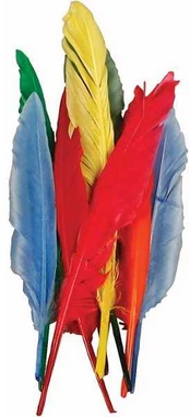 Ccpas Fjer 12-15 cm, pakke a 350 stk., i assorterede farver