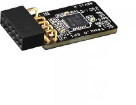 Dell pagrindinė plokštė TPM 2.0 security module for PowerEdge servers