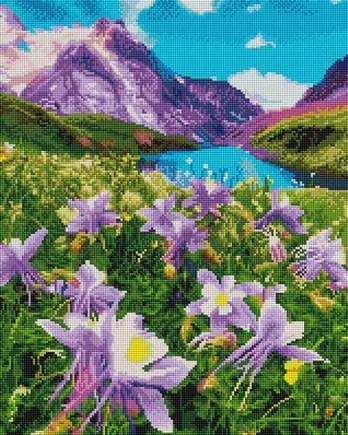 Alize Artimento deimantinė tapyba, 40x50 cm