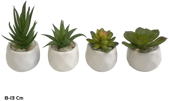 Dirbtiniai sukulentai 8–13 cm, 8x8x13 cm, LITO