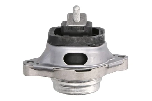 Variklio montavimas TEDGUM TED46116