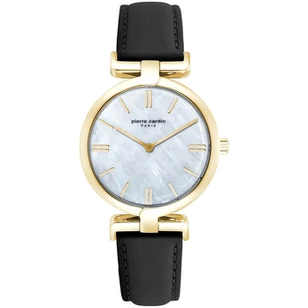 Laikrodis Pierre Cardin PC902702F103