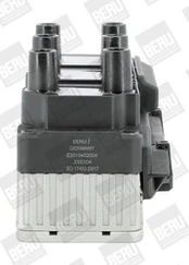 Ritė, uždegimas BorgWarner (BERU) ZSE004