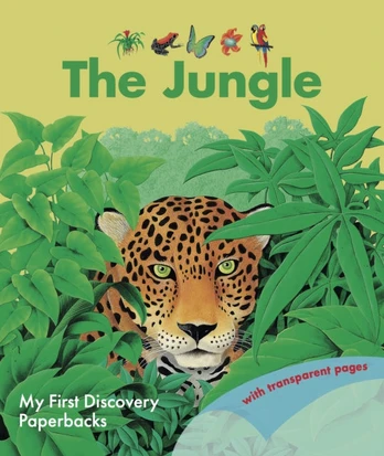 Jungle