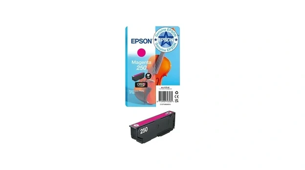 EPSON Singlepack Magenta 250 ink | C13T16N34010