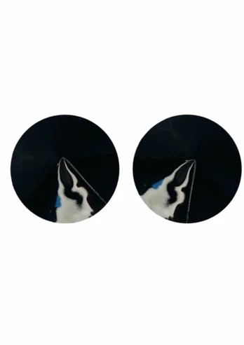 Kinky Diva Nipple Covers Glossy Reusable Adhesive Pasties