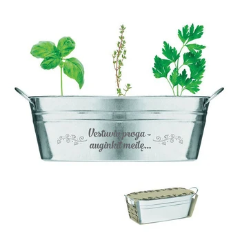 Dovana Vestuvių proga - auginkit meilę, sidabrinė