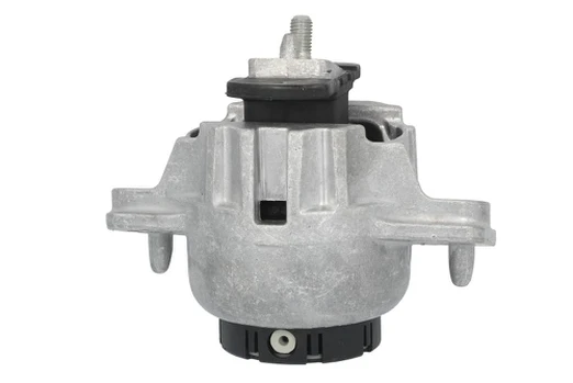Variklio montavimas TEDGUM TED69852