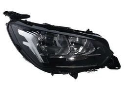 Priekinis žibintas VALEO 450873