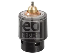 Termostatas, aušinimo skystis FEBI BILSTEIN 108185