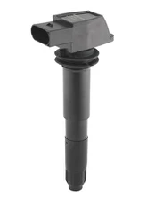 Ritė, uždegimas BorgWarner (BERU) ZSE012