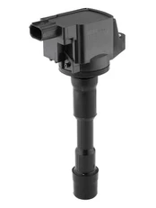 Ritė, uždegimas BorgWarner (BERU) ZSE292