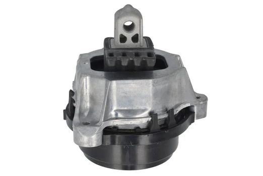 Variklio montavimas TEDGUM TED23794