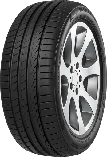 Minerva F205 285/45 R19 111 Y