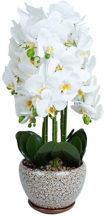 Orchidėja SODE H72cm pilkas vazonas