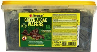 Tropical Žalias Algae wafers 5L/2,25kg