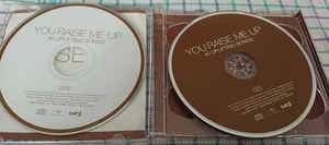 CD Various - You Raise Me Up 2008