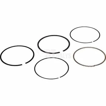 RS100 piston spring